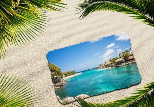 Credit Cards With The Best Travel Insurance