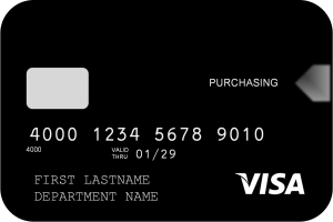 10 Useful Features of a Visa Credit Card