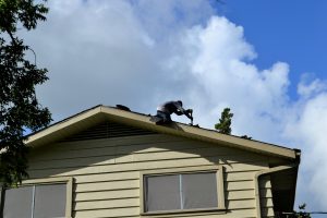 Best Credit Cards For Home Improvement