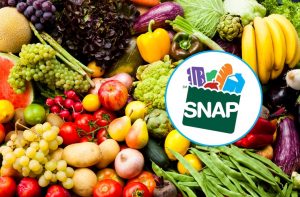 Food Stamps Program – Learn How to Easily Apply
